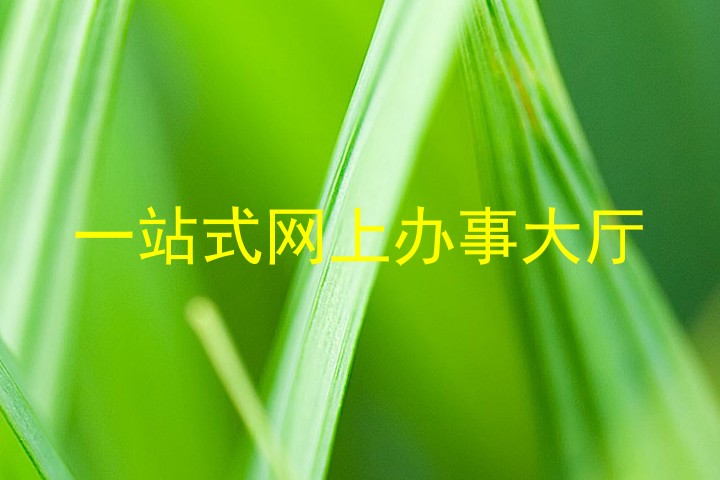 一站式网上办事大厅