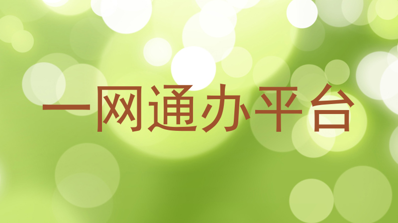 一网通办平台