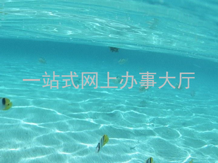 一站式网上办事大厅