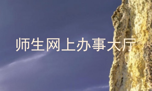 师生网上办事大厅