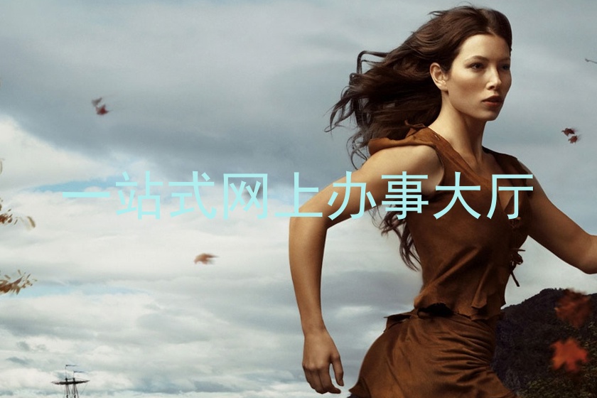 一站式网上办事大厅