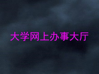 大学网上办事大厅