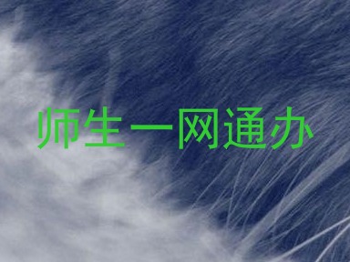 师生一网通办