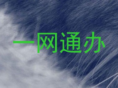 一网通办