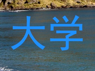 大学