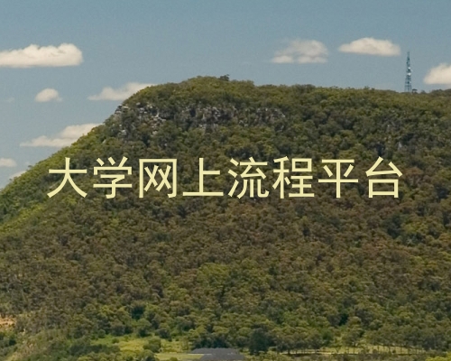 大学网上流程平台