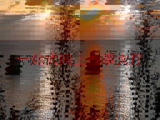 一站式网上办事大厅