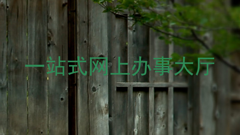 一站式网上办事大厅