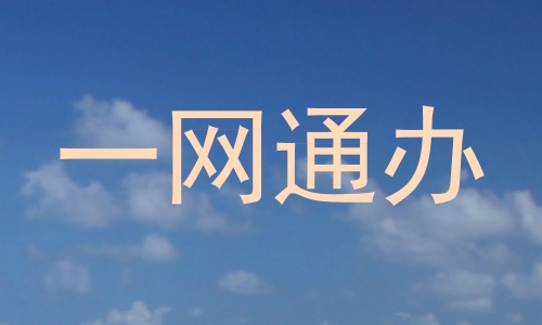 一网通办
