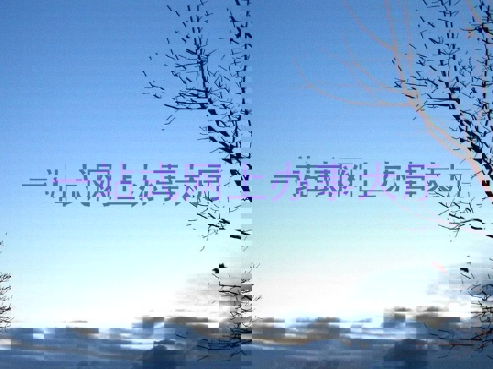 一站式网上办事大厅