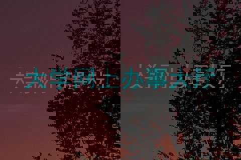 大学网上办事大厅