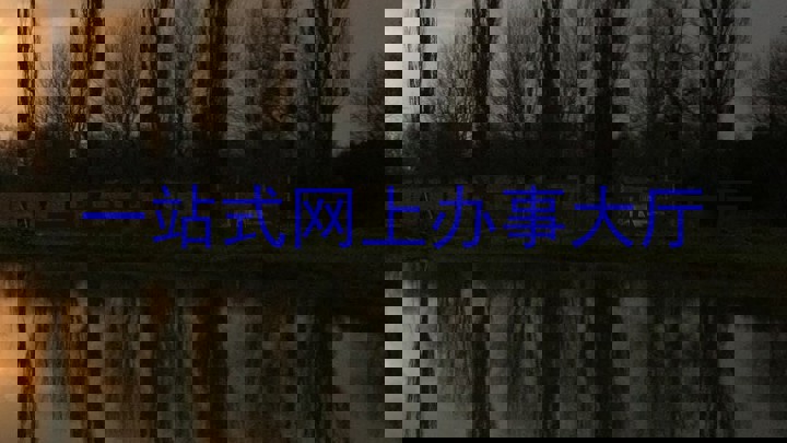 一站式网上办事大厅