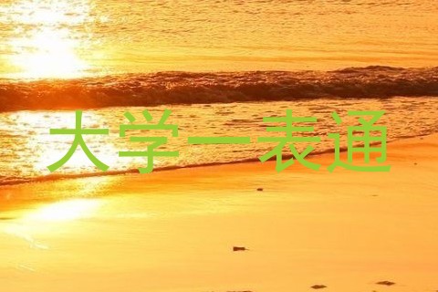 大学一表通