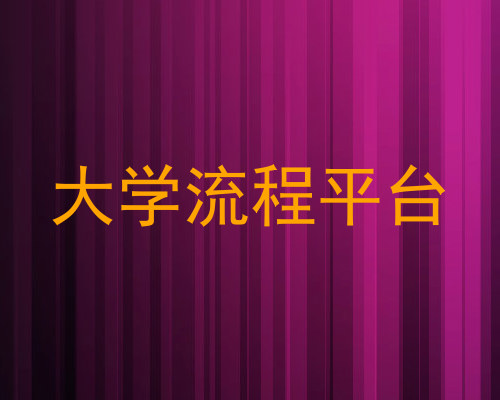 大学流程平台