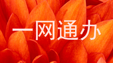 一网通办