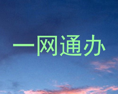 一网通办