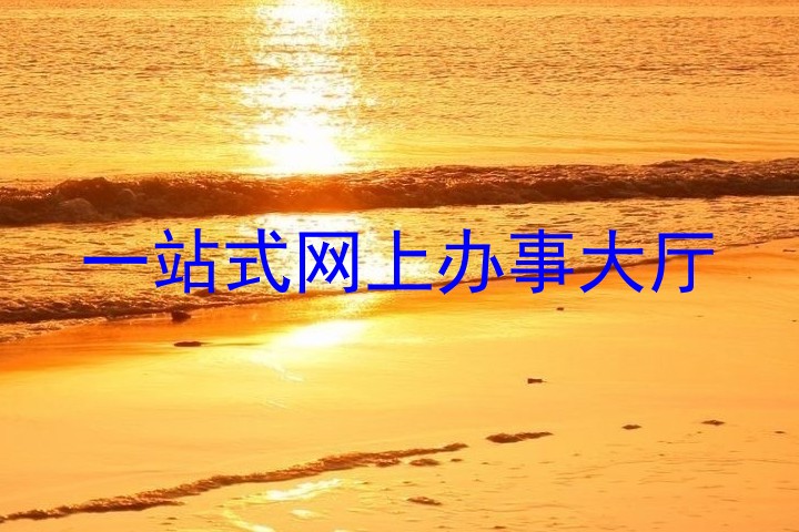 一站式网上办事大厅