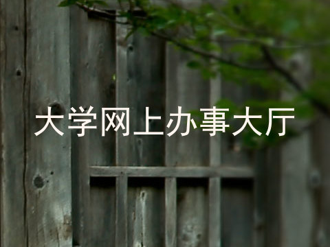 大学网上办事大厅