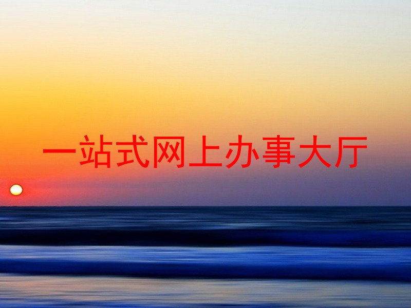 一站式网上办事大厅