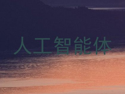 人工智能体