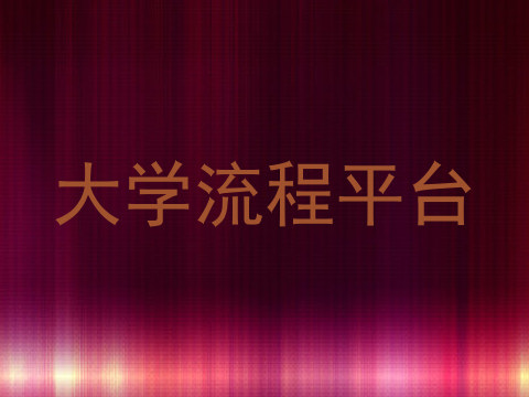 大学流程平台