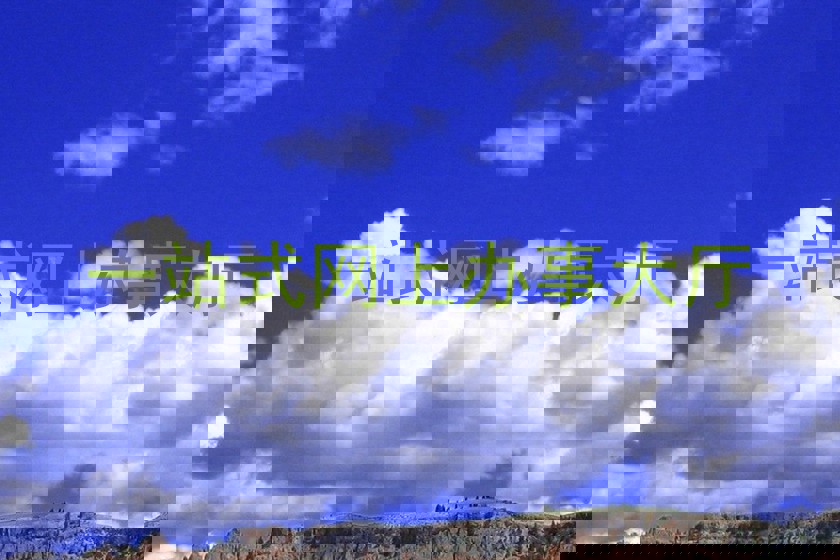 一站式网上办事大厅