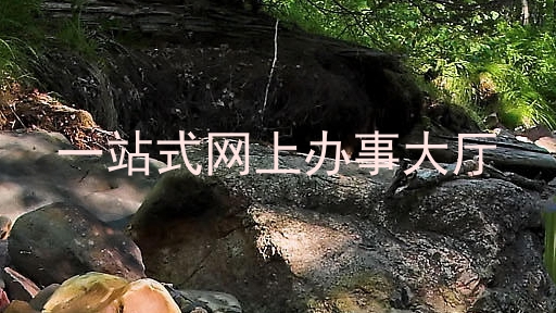 一站式网上办事大厅