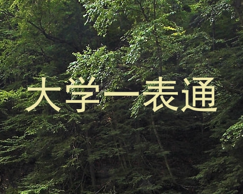 大学一表通