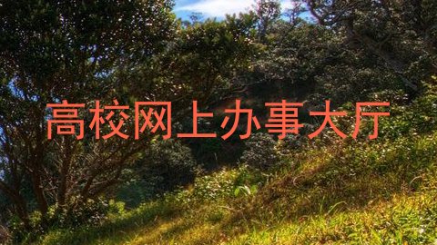 高校网上办事大厅