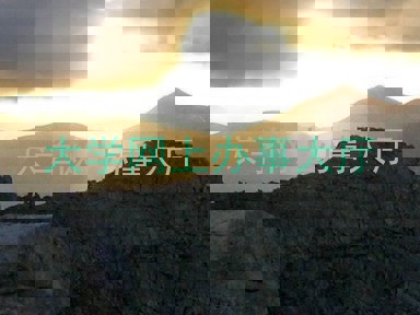 大学网上办事大厅