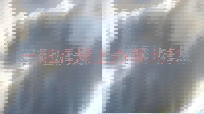 一站式网上办事大厅