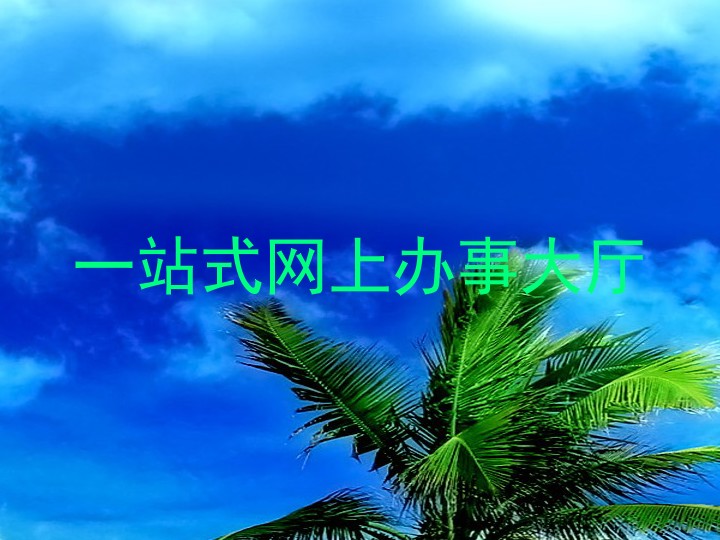 一站式网上办事大厅