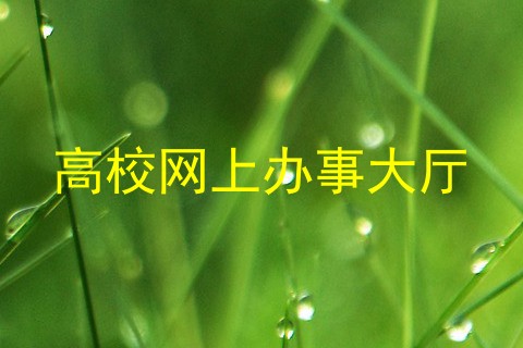 高校网上办事大厅