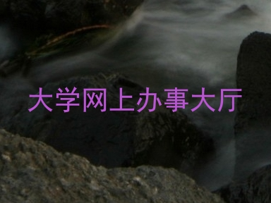 大学网上办事大厅