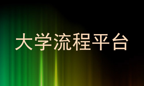 大学流程平台