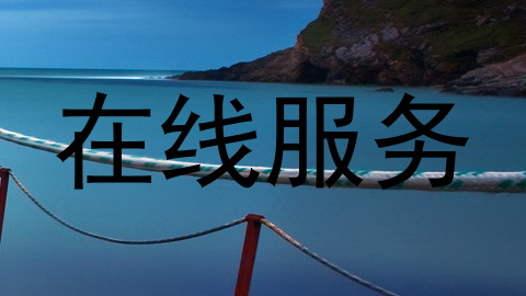在线服务