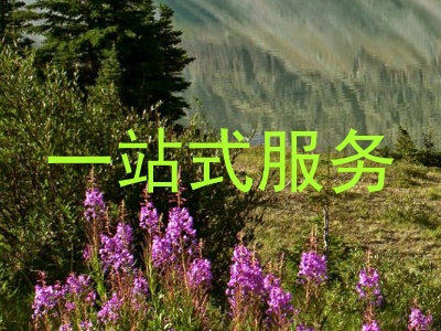 一站式服务