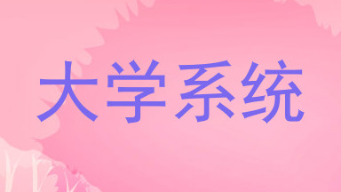 大学系统