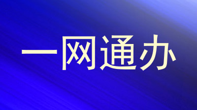 一网通办