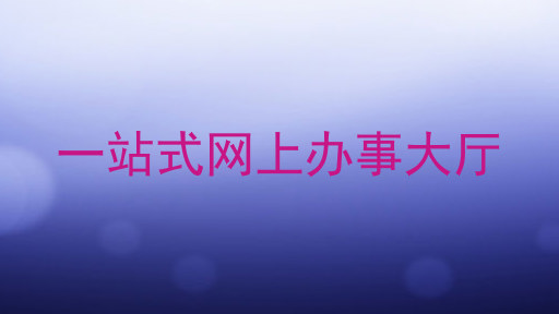 一站式网上办事大厅