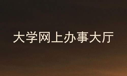 大学网上办事大厅