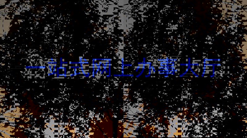 一站式网上办事大厅