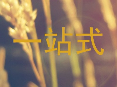 一站式