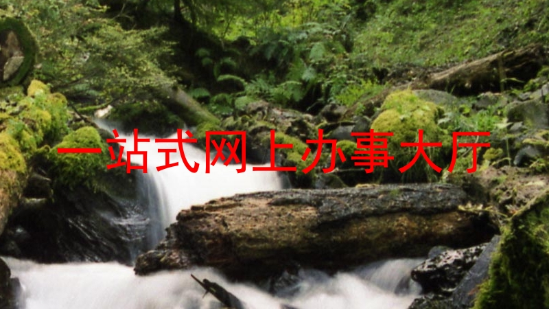 一站式网上办事大厅