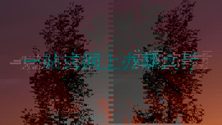 一站式网上办事大厅