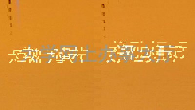 大学网上办事大厅