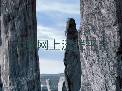 大学网上流程平台