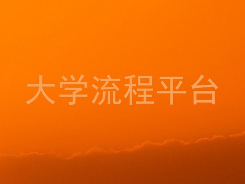 大学流程平台