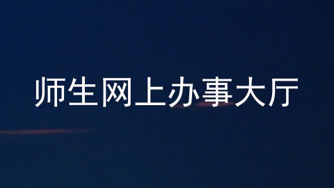 师生网上办事大厅