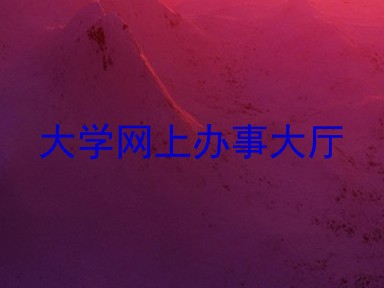 大学网上办事大厅